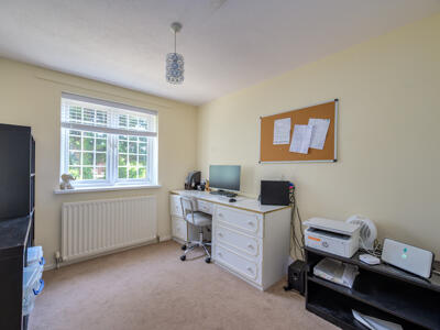 Picture 18